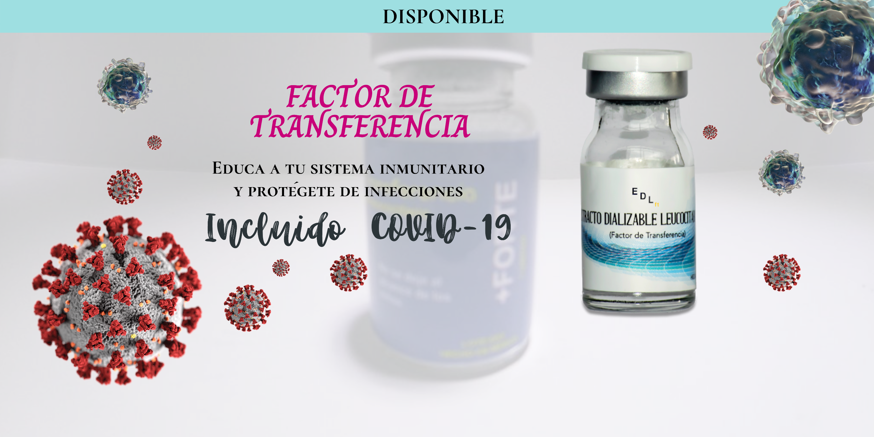 CLÍNICA DE ESPECIALIDADES MÉDICAS GUADALUPE